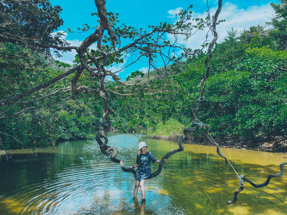Bãi Suối Nóng có khu rừng 